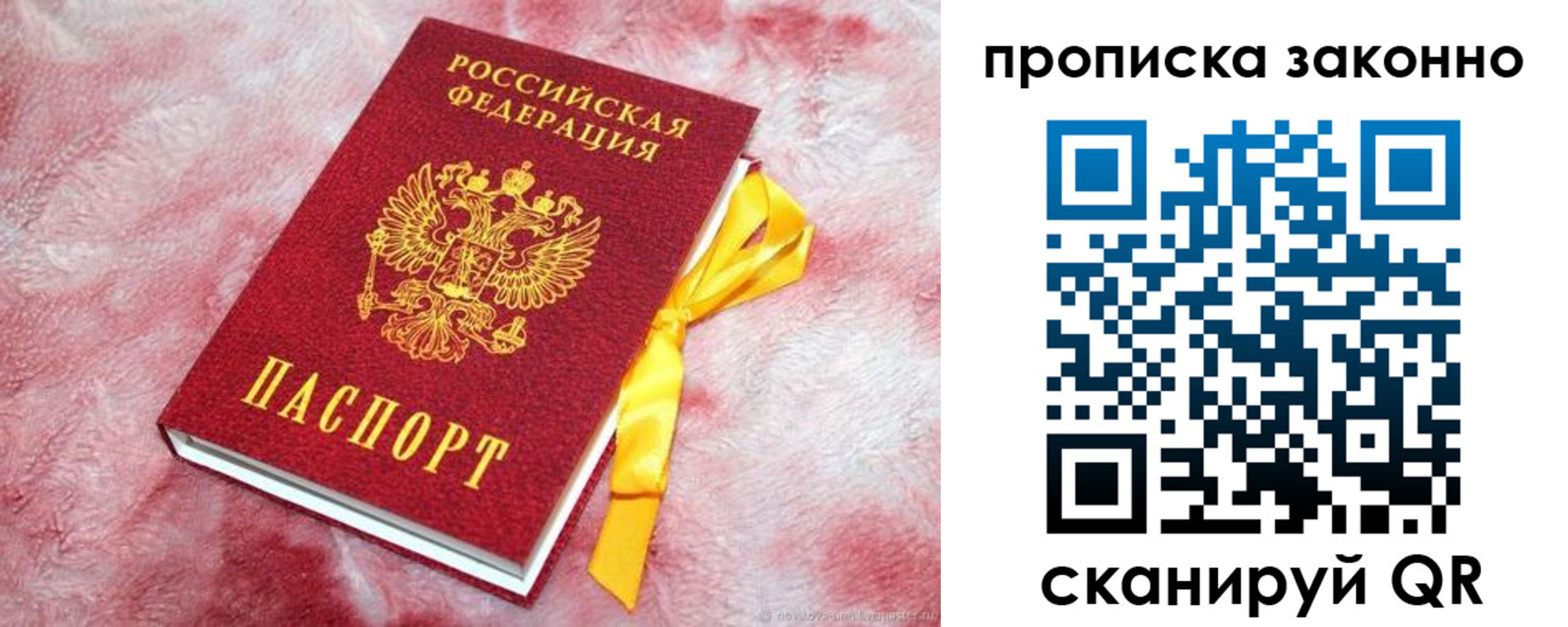 временная регистрация поиск в Светлогорске